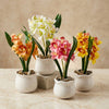 Potted Orchids  - Artificial