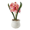 Potted Orchids  - Artificial