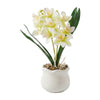 Potted Orchids  - Artificial