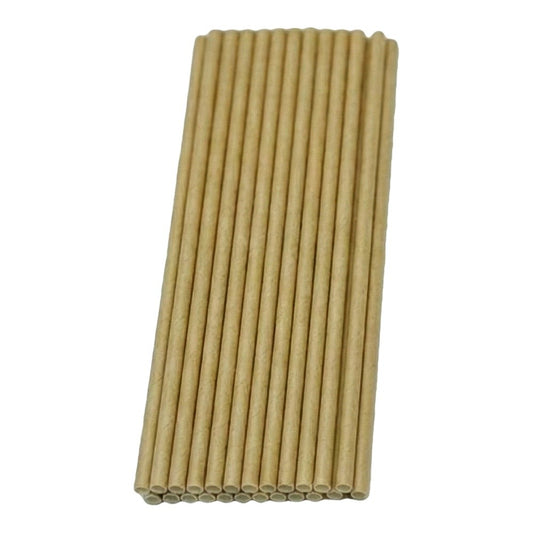 Paper Straws 25 PCS