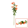 Flower Stem