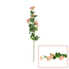 Flower Stem