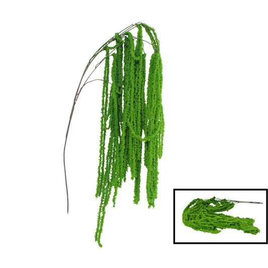 Vines