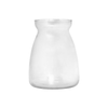 Glass Vase Clear