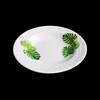 Melamine Plate
