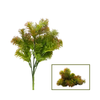 Wooly Bush