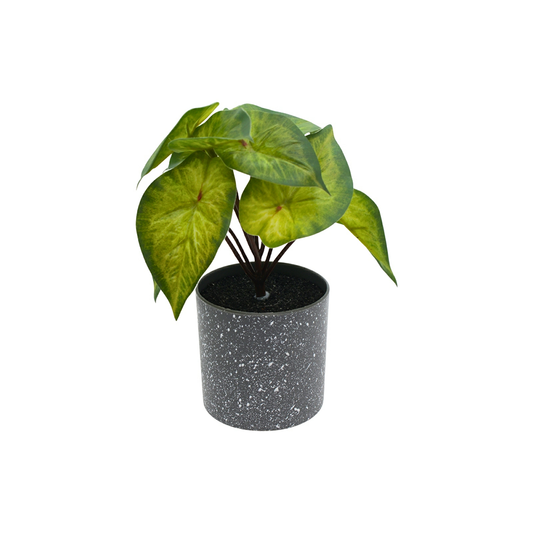 Arrowhead Pot