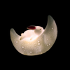 Night Lamp Moon