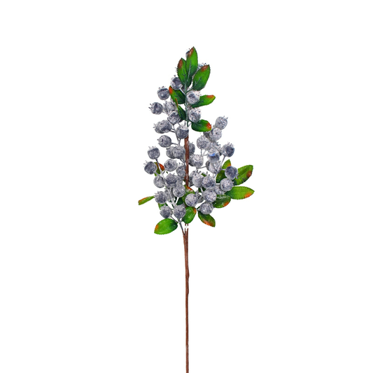 B / Berry Stem 575