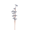 B / Berry Stem 547