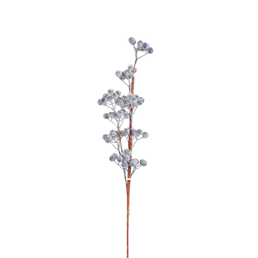 B / Berry Stem 547