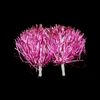 Pom Poms