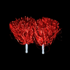Pom Poms