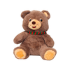 Soft Teddy #10