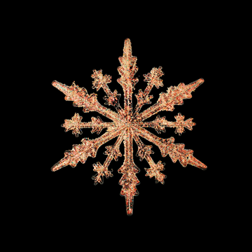 Christmas Snow Flake