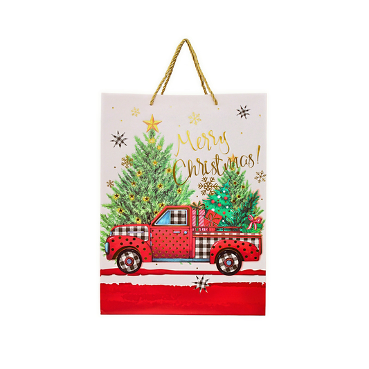 Christmas Bag