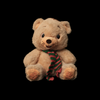 Soft Teddy #11