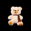 Soft Teddy #11