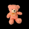 Soft Teddy #4