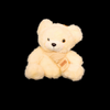 Soft Teddy #13