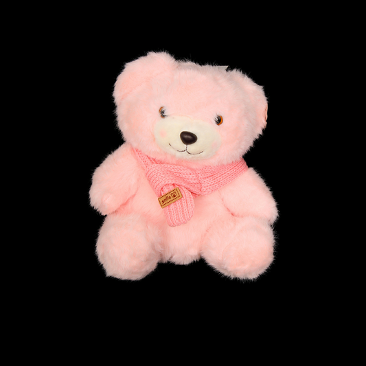 Soft Teddy #13