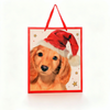 Christmas Bag