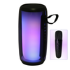 Speaker With Mic