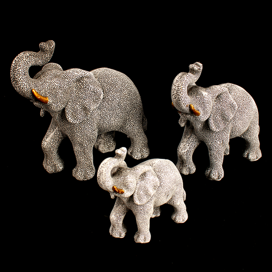 Elephant Family