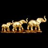 Elephant Family Gold