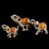 Elephant Family