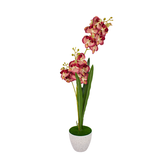 Orchid Pot White