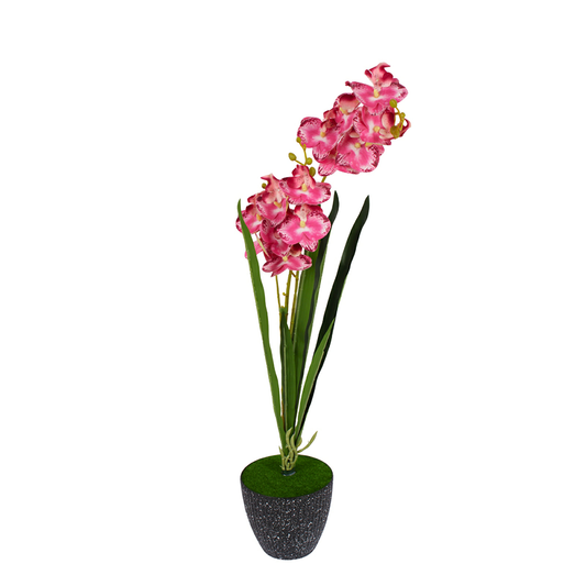 Orchid Pot Black