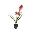 Orchid Pot Black