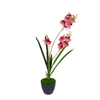 Orchid Pot Black