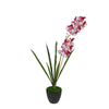 Orchid Pot Black