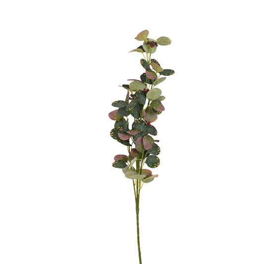 Wild Berry