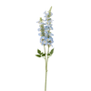 Delphiniums Flower