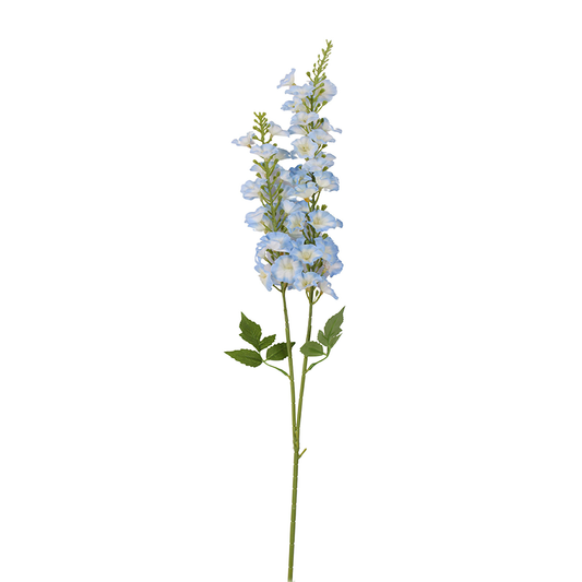 Delphiniums Flower