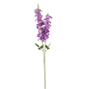 Delphiniums Flower
