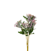 Wild Flower