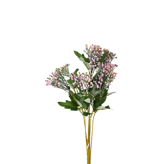 Wild Flower