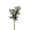Wild Flower