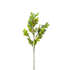 Artificial Leaves