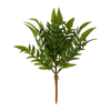 Wood Fern