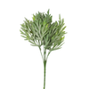 Fern