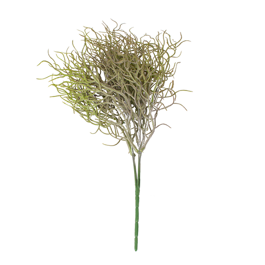 Spiral Grass