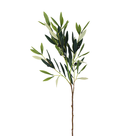 Olive Stem 504