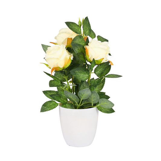 Rose Pot