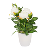 Rose Pot