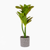 Rub/ Plant Pot